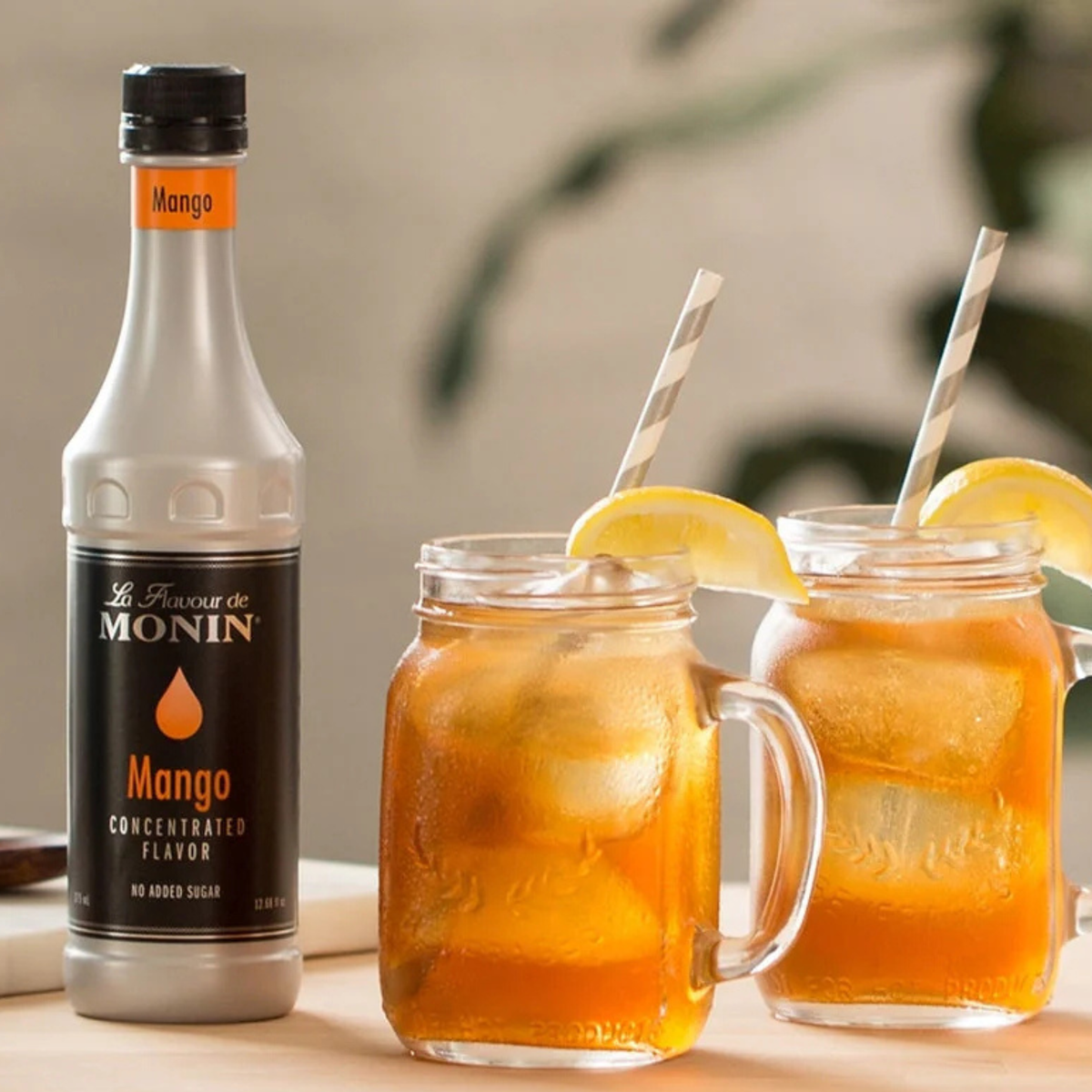 Concentrés Monin pour cocktails et boissons professionnelles