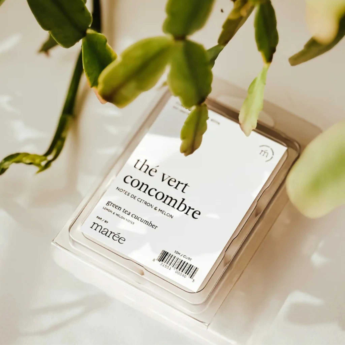 Cubes de cire de soya au thé vert concombre Marée Chandelles diffusant une fragrance fraîche et apaisante