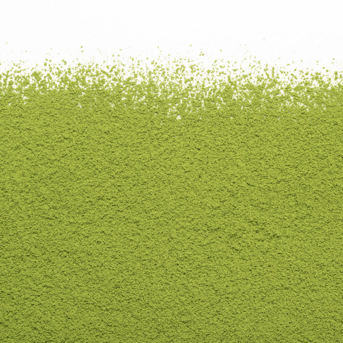 Matcha Barista 100 g - Camellia Sinensis