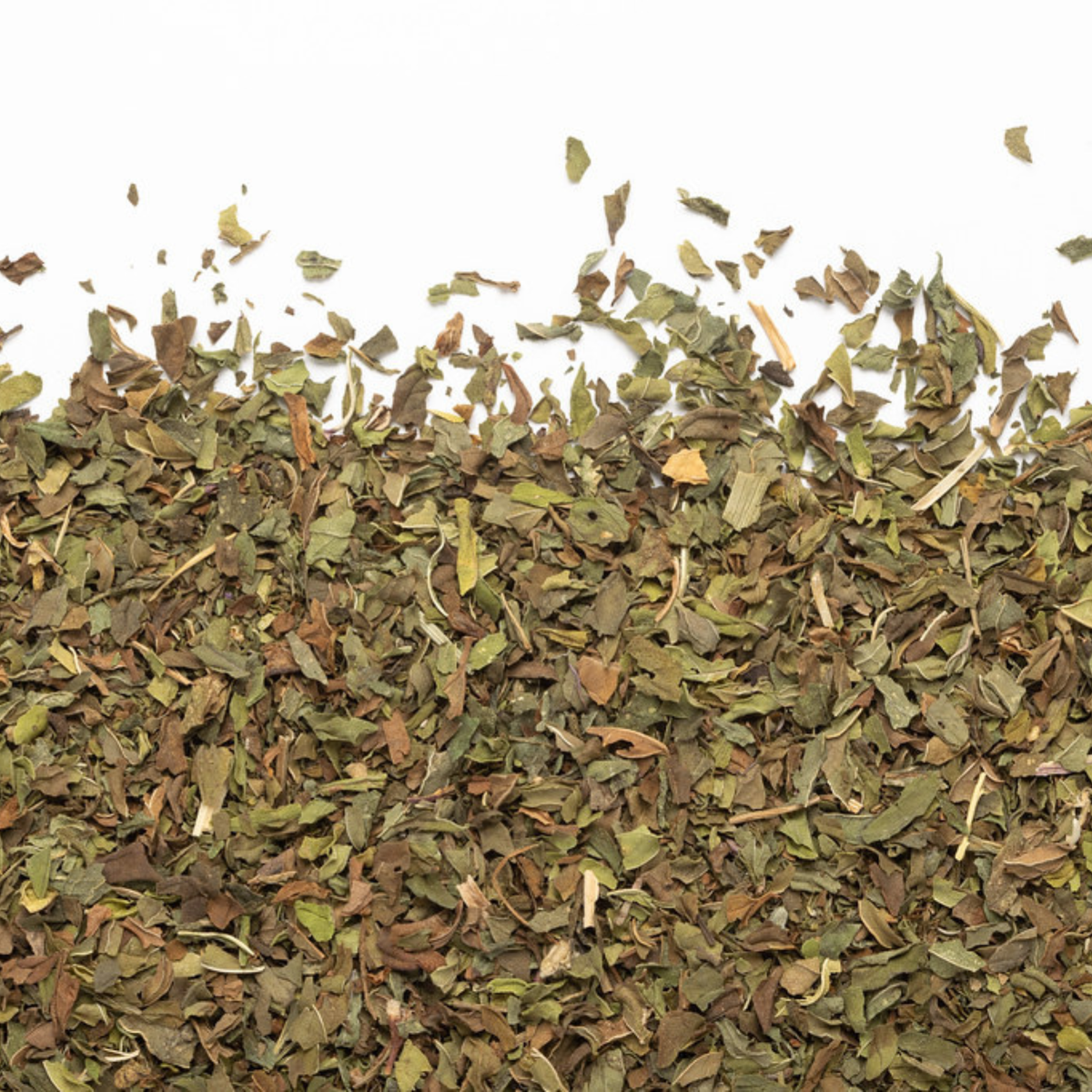 Thé à la menthe biologique 50 g - Camellia Sinensis