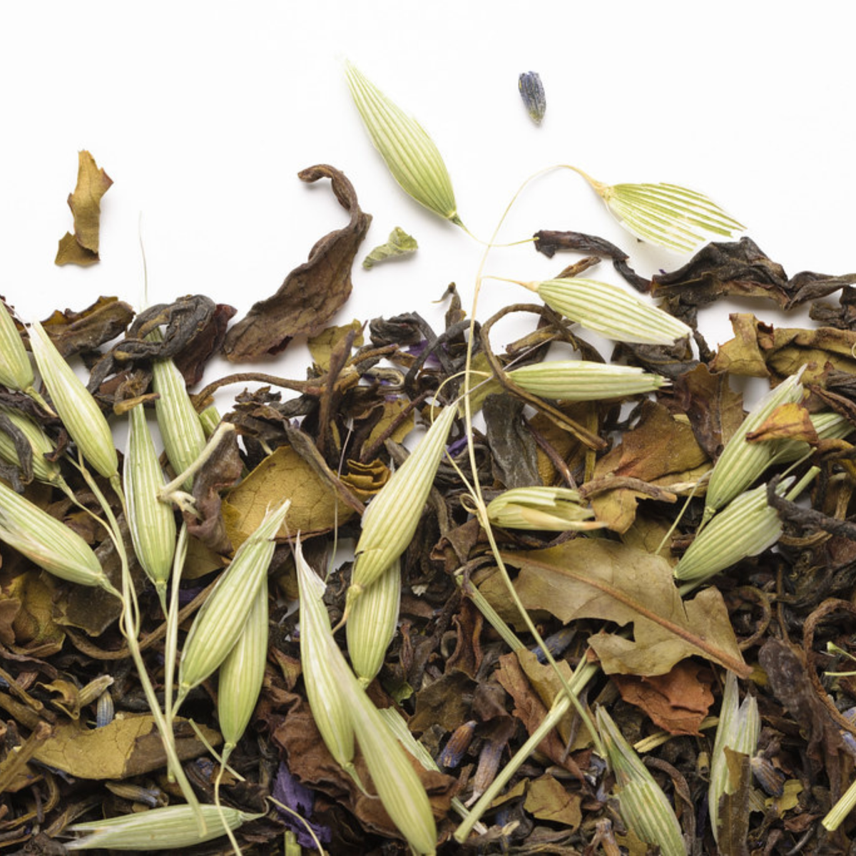 Thé glacé Un été à Nilgiri biologique 50 g - Camellia Sinensis