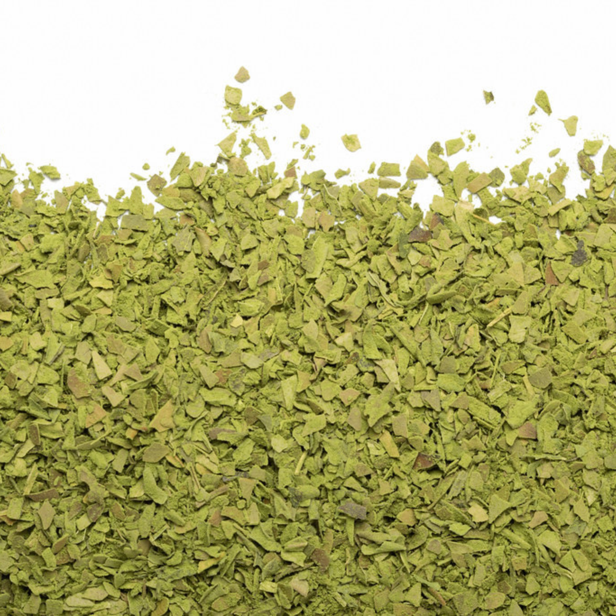 Matcha Dynamo biologique 150 g - Camellia Sinensis