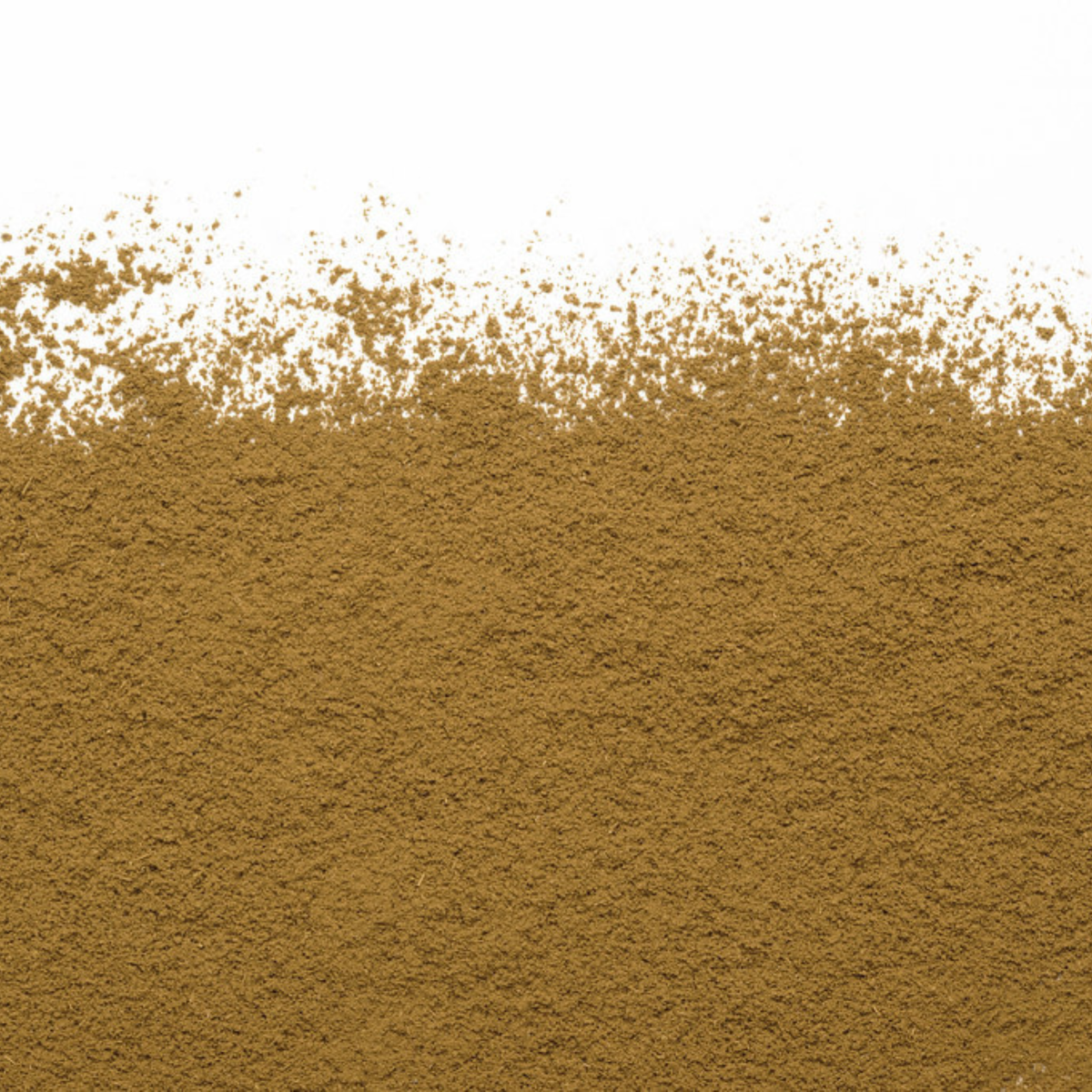 Hojicha Latté biologique 40 g - Camellia Sinensis