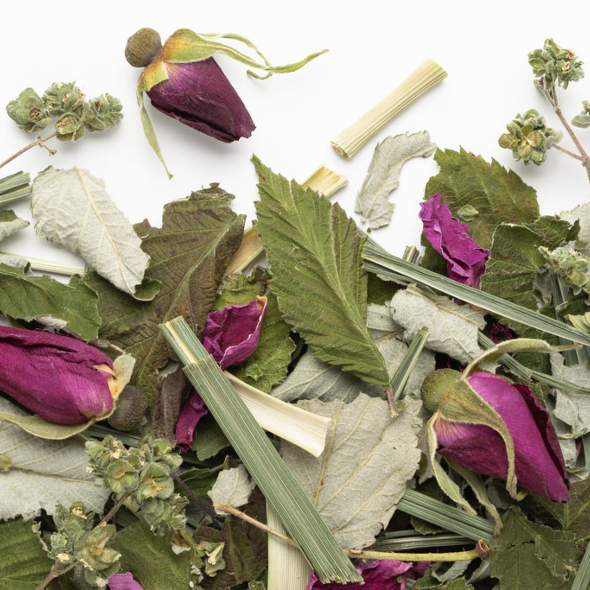 Tisane La Belle Humeur biologique 20 g - Camellia Sinensis