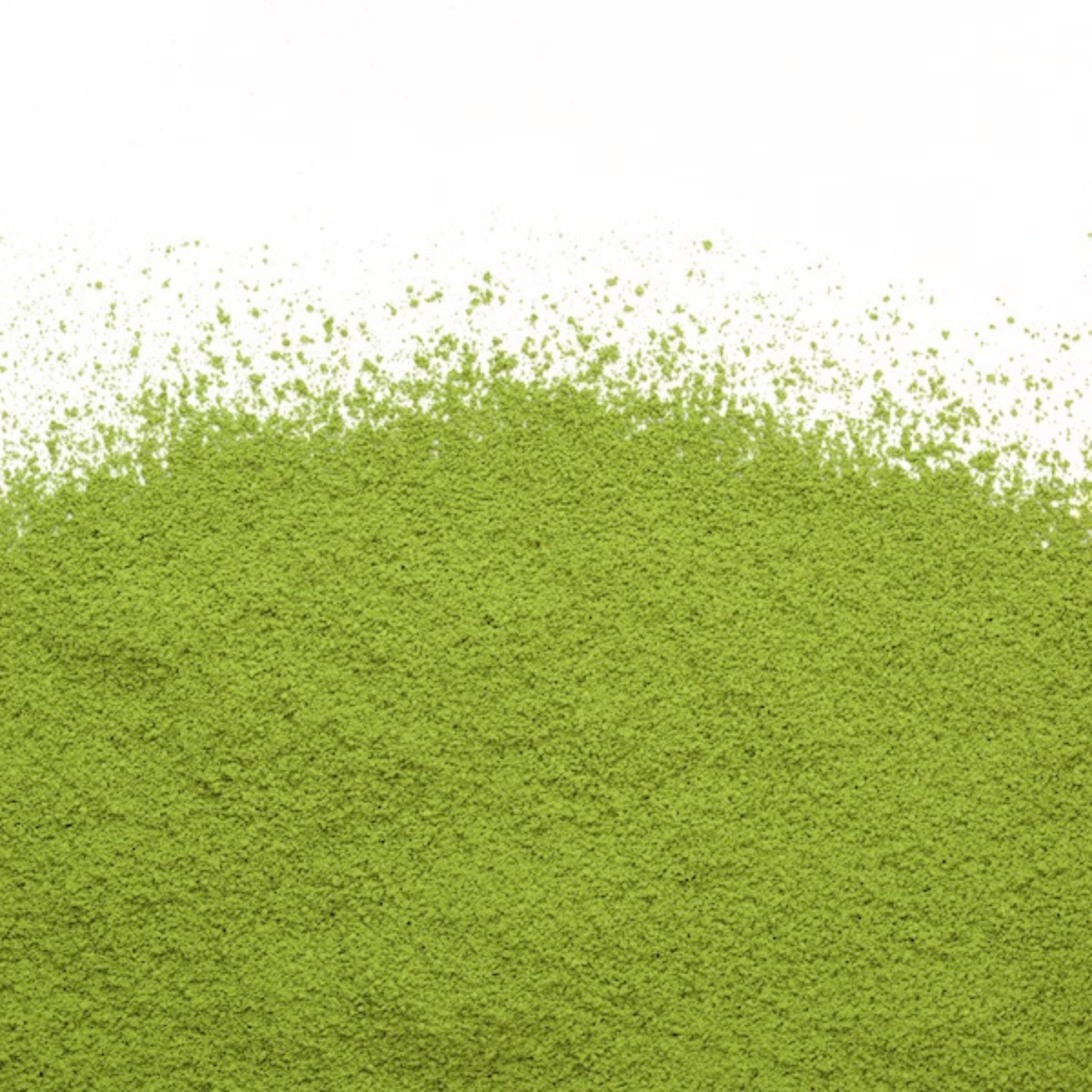 Matcha Uji 40 g - Camellia Sinensis