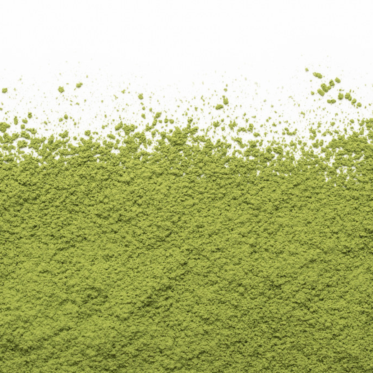 Matcha Yume biologique 40 g - Camellia Sinensis
