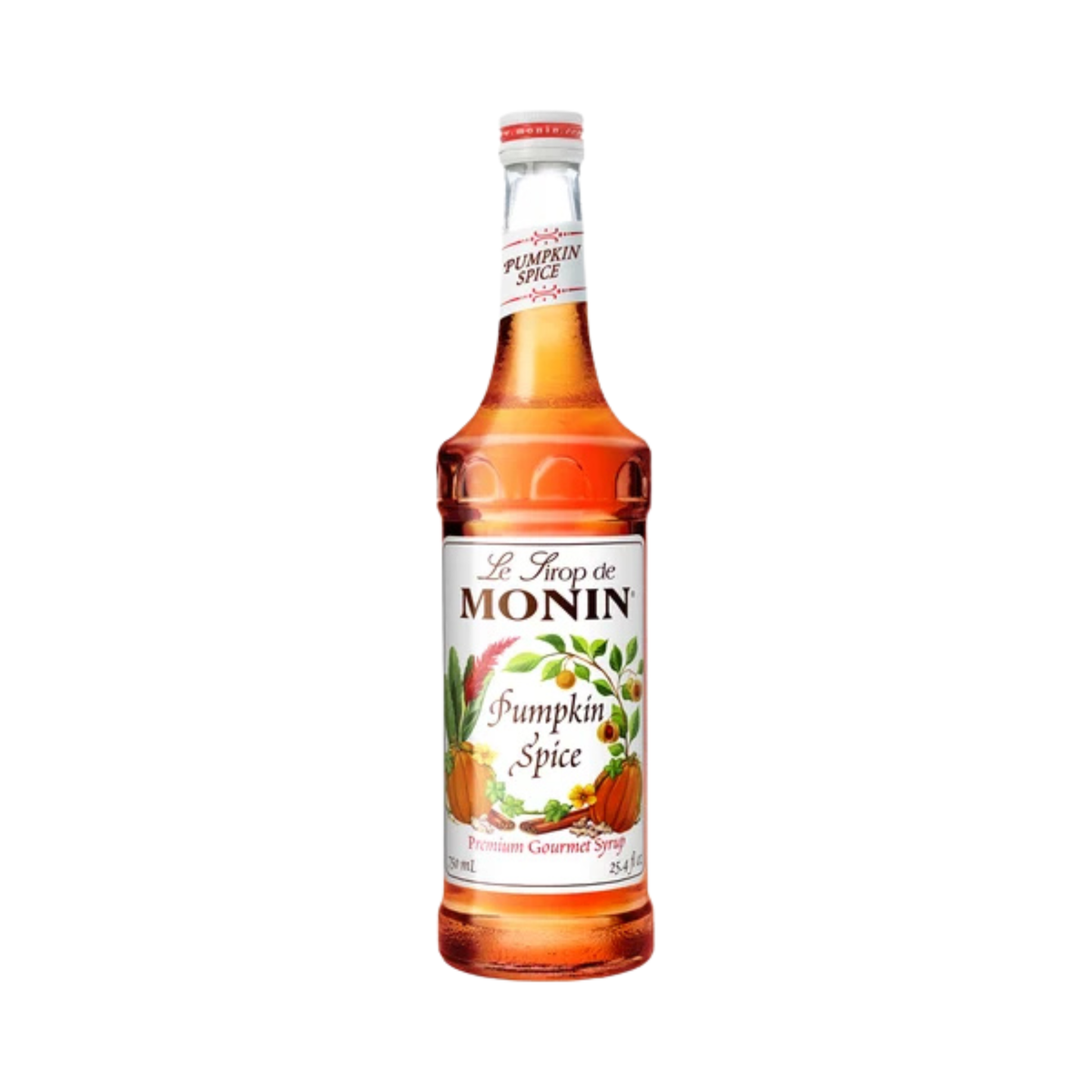 Sirop Citrouille épicée 750 ml – Monin