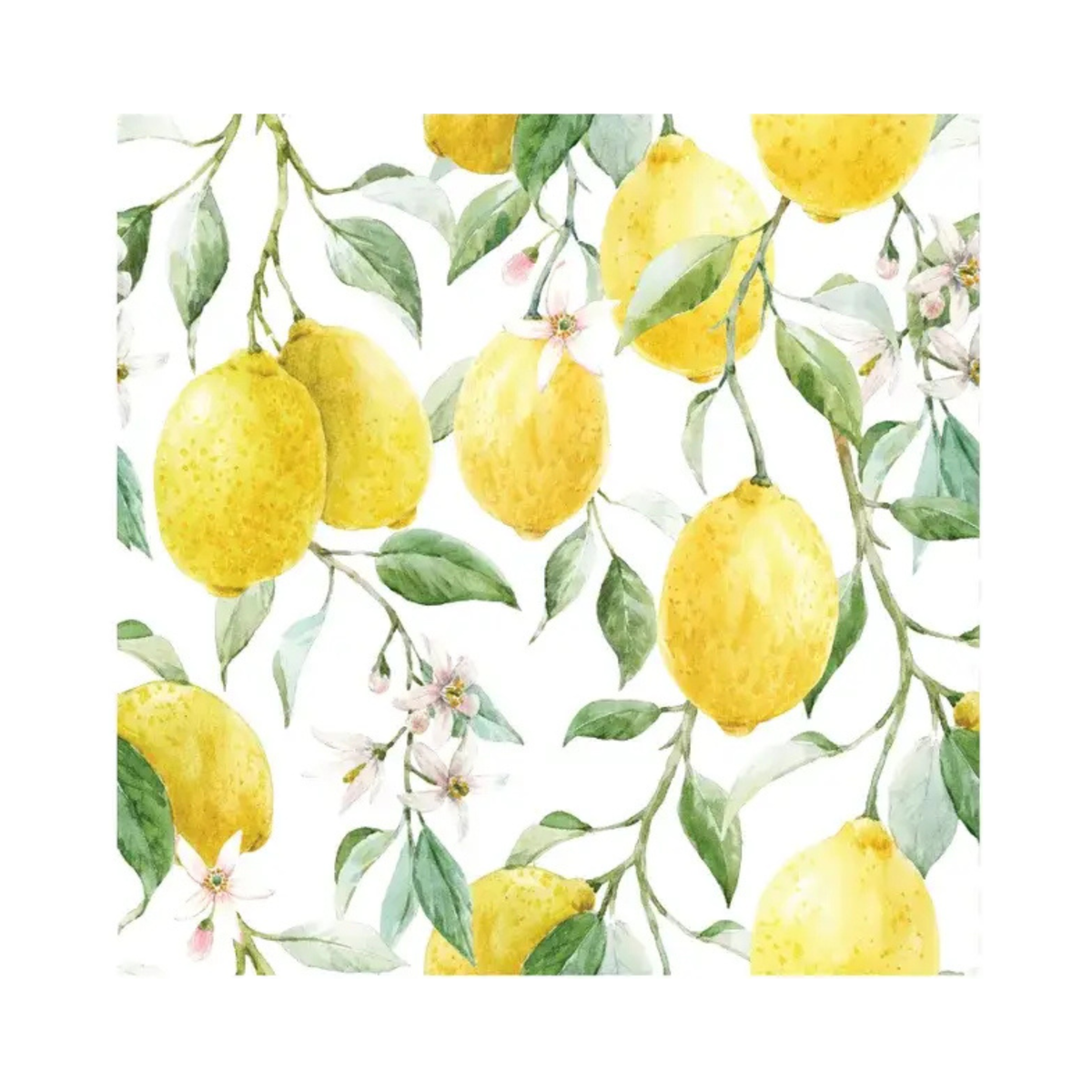 Ensemble de 20 serviettes en papier Citrons frais 
